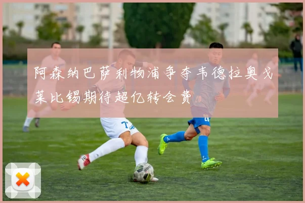 阿森纳巴萨利物浦争夺韦德拉奥戈莱比锡期待超亿转会费