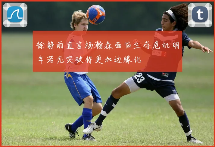 徐静雨直言杨瀚森面临生存危机明年若无突破将更加边缘化