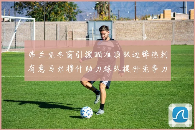 弗兰克冬窗引援瞄准顶级边锋热刺有意马尔穆什助力球队提升竞争力