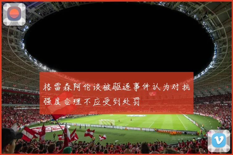格雷森阿伦谈被驱逐事件认为对抗强度合理不应受到处罚