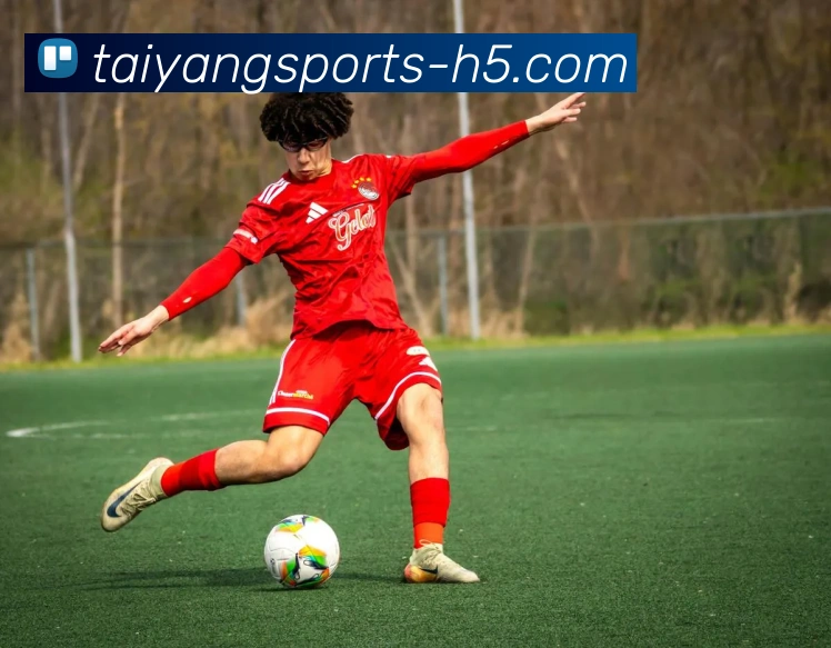 太阳城APP 高清赛事图